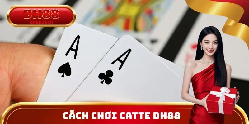 Cách chơi Catte DH88