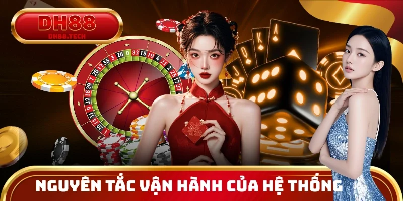 Giải thích nền tảng pháp lý và nguyên tắc vận hành của hệ thống