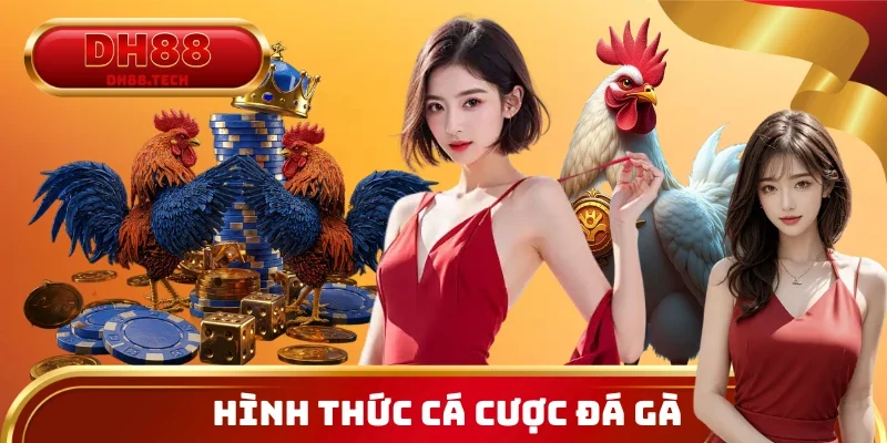 Đa dạng hình thức cá cược đá gà DH88 hiện