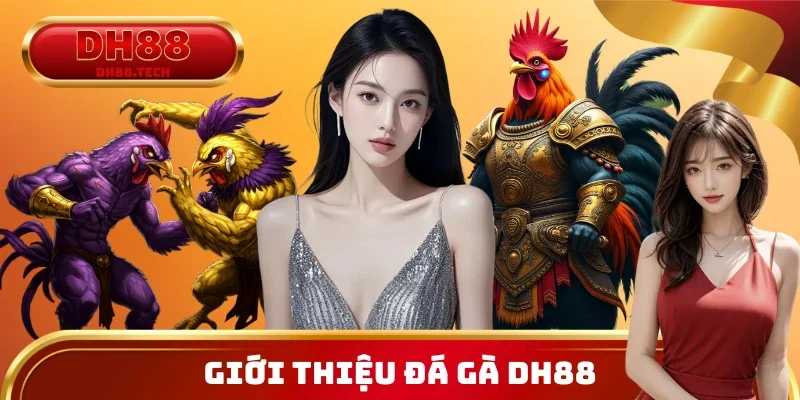 Đôi lời giới thiệu về sân chơi đá gà DH88 2026